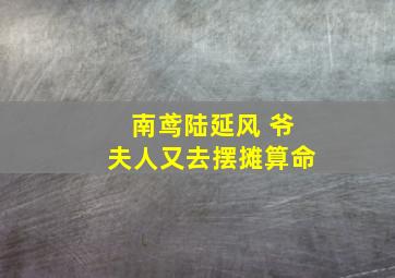 南鸢陆延风 爷夫人又去摆摊算命